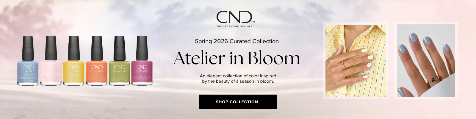 Professional Nails Delivered to You